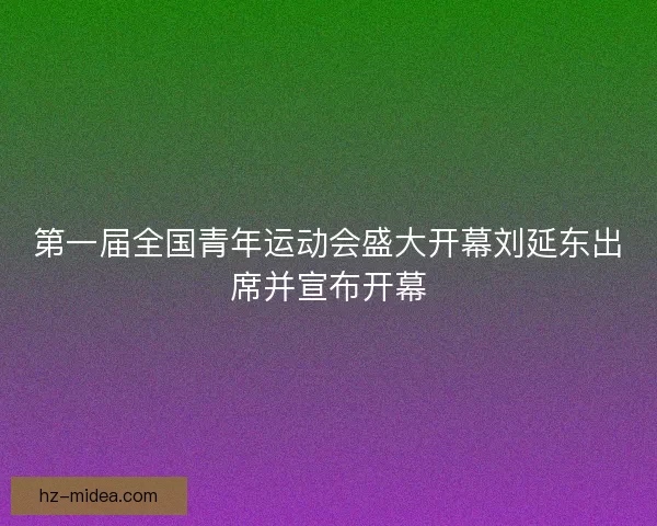 第一届全国青年运动会盛大开幕刘延东出席并宣布开幕