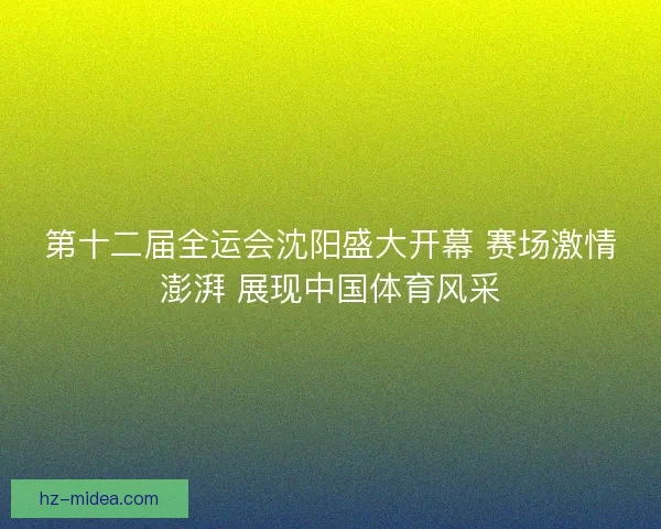 第十二届全运会沈阳盛大开幕 赛场激情澎湃 展现中国体育风采
