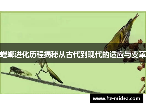 螳螂进化历程揭秘从古代到现代的适应与变革